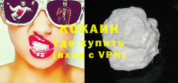 соль ск Ельня