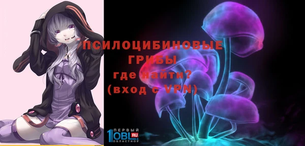 соль ск Ельня