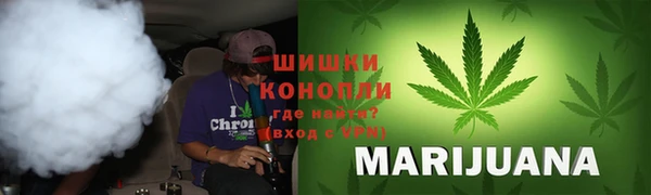 соль ск Ельня