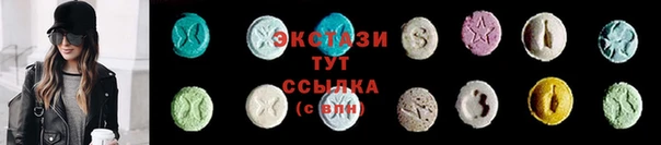 соль ск Ельня