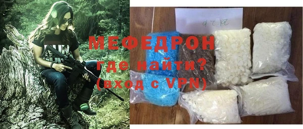соль ск Ельня