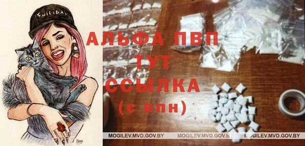 соль ск Ельня