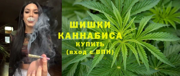 соль ск Ельня