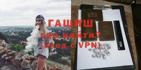 соль ск Ельня