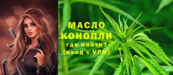 соль ск Ельня