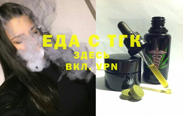 соль ск Ельня