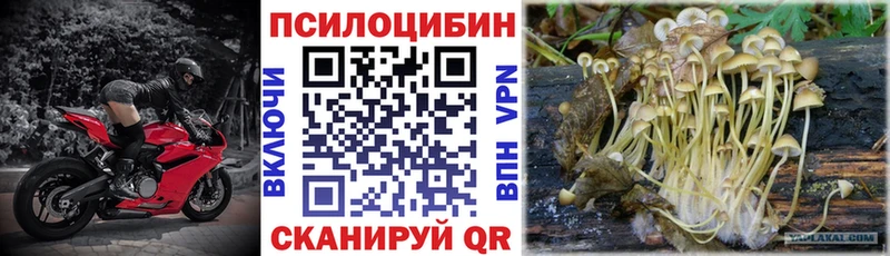Купить закладки  Сердобск  Галлюциногенные грибы ЛСД 